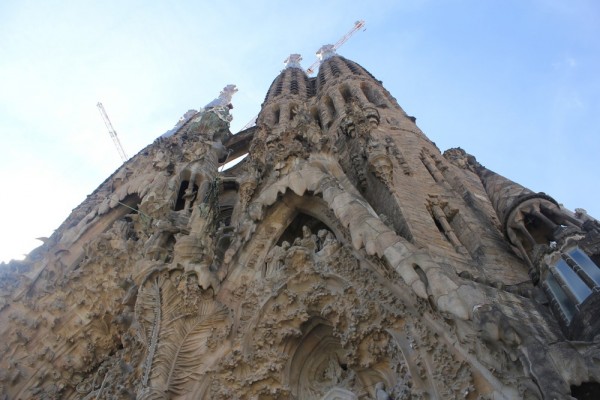 IMG_1299